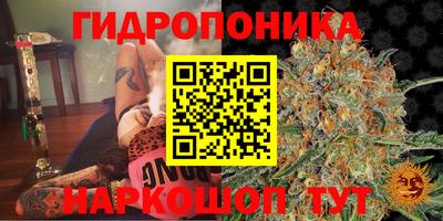 тгк Краснодар