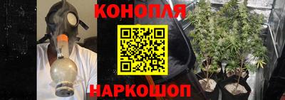 гидропоника Кулебаки