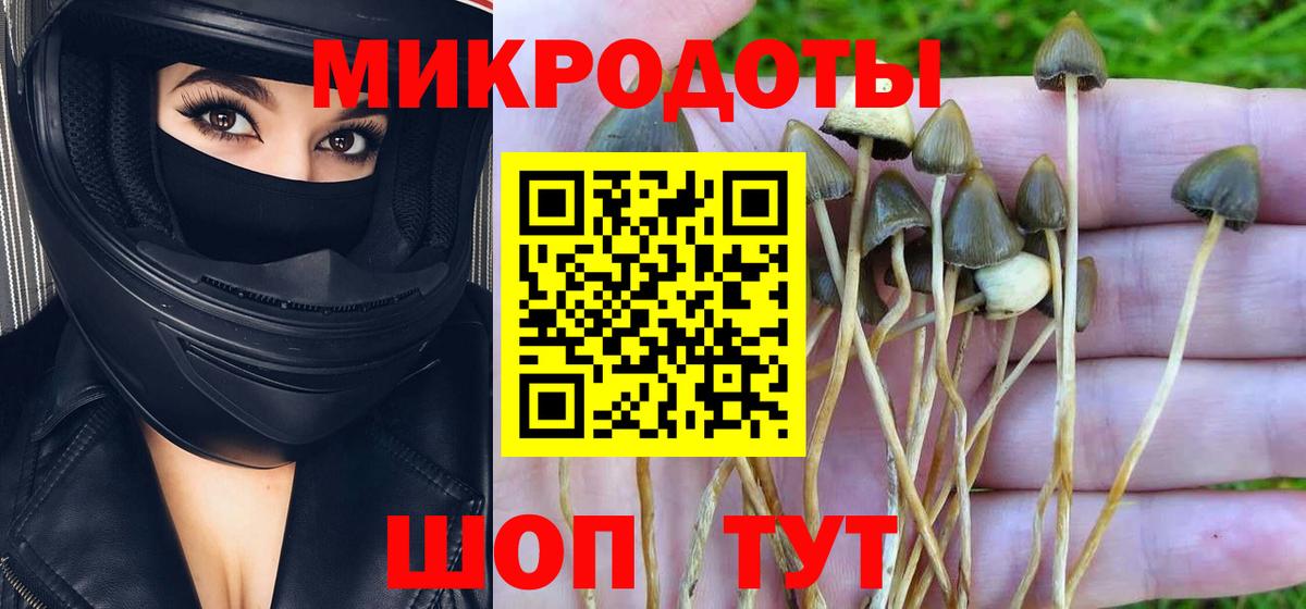 Галлюциногенные грибы Magic Shrooms Ивантеевка