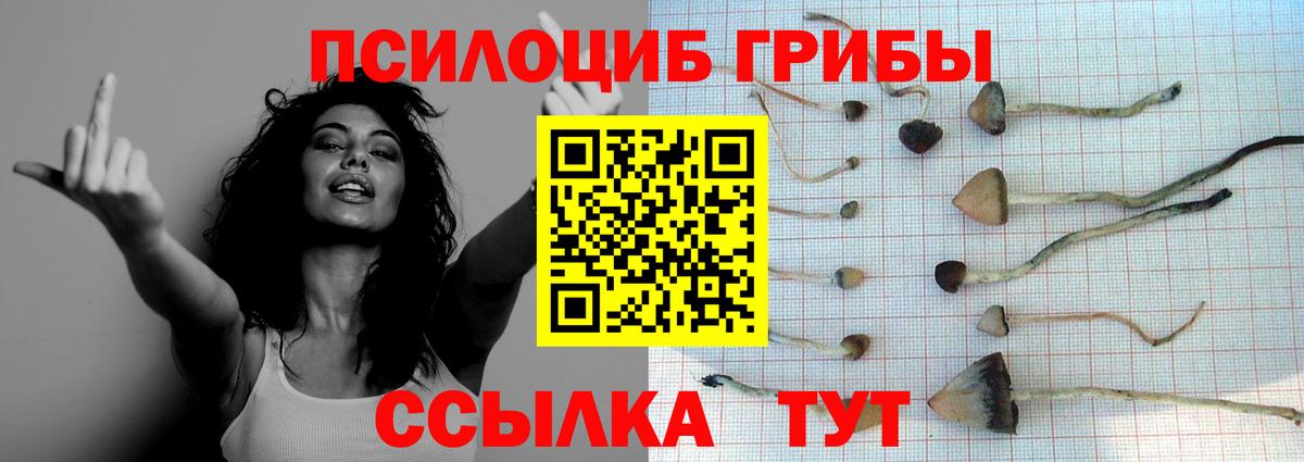 Ивантеевка  Галлюциногенные грибы Magic Shrooms  Вход с VPN  Псилоцибиновые грибы Cubensis 
